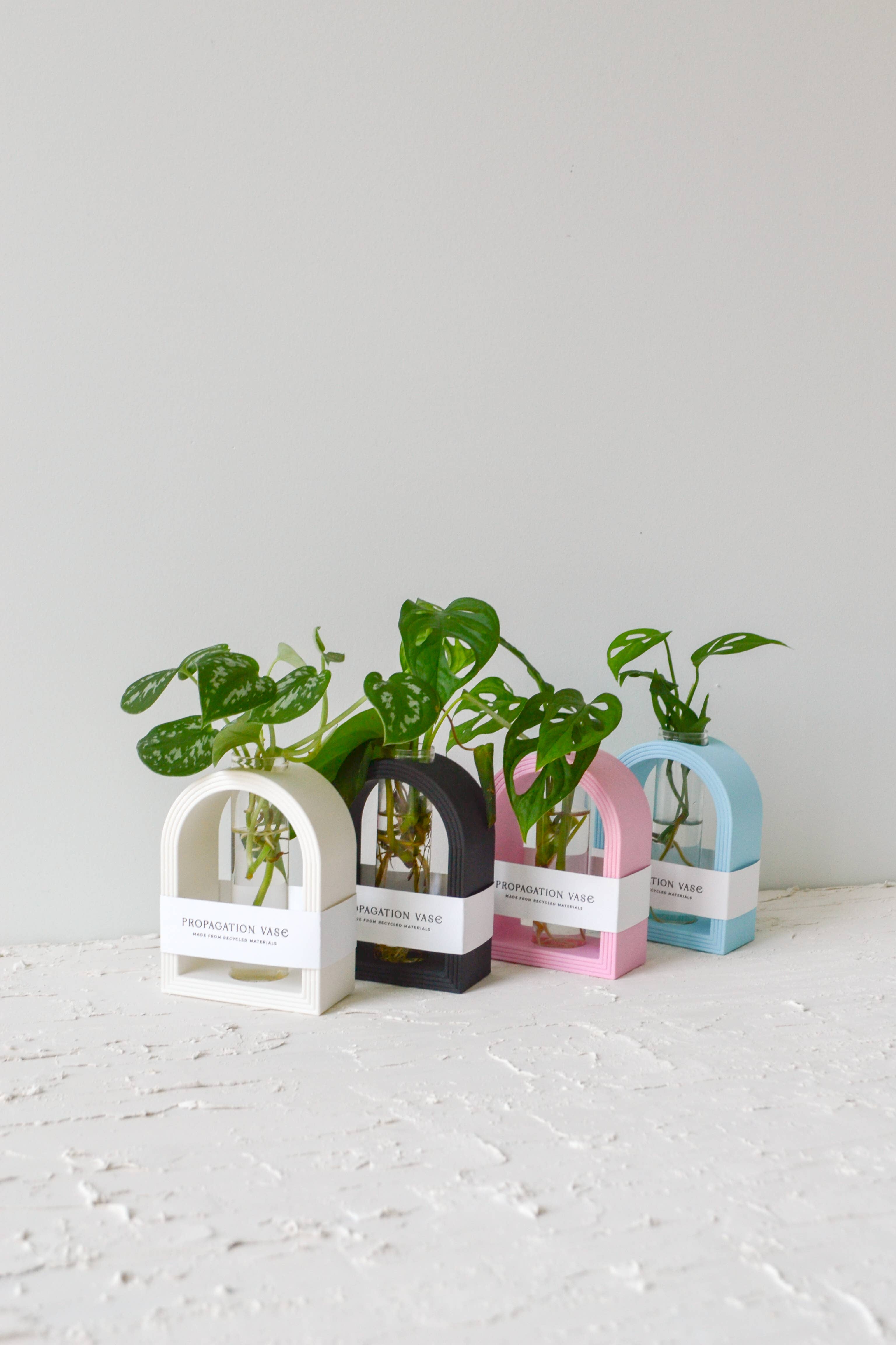 LindaMakess - Vendita all'ingrosso Vasi per piante - Supporti per Propagazione ad Arco Arcobaleno in Stampa 3D1