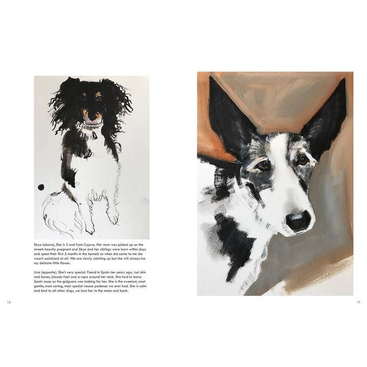 HarperCollins - Wholesale Pet Book - Rescue Dogs: Sally Muir2