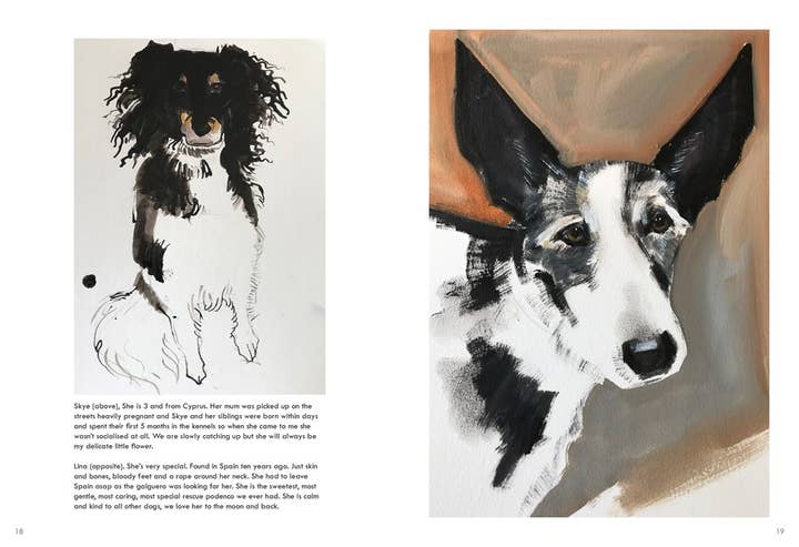 HarperCollins - Wholesale Pet Book - Rescue Dogs: Sally Muir2