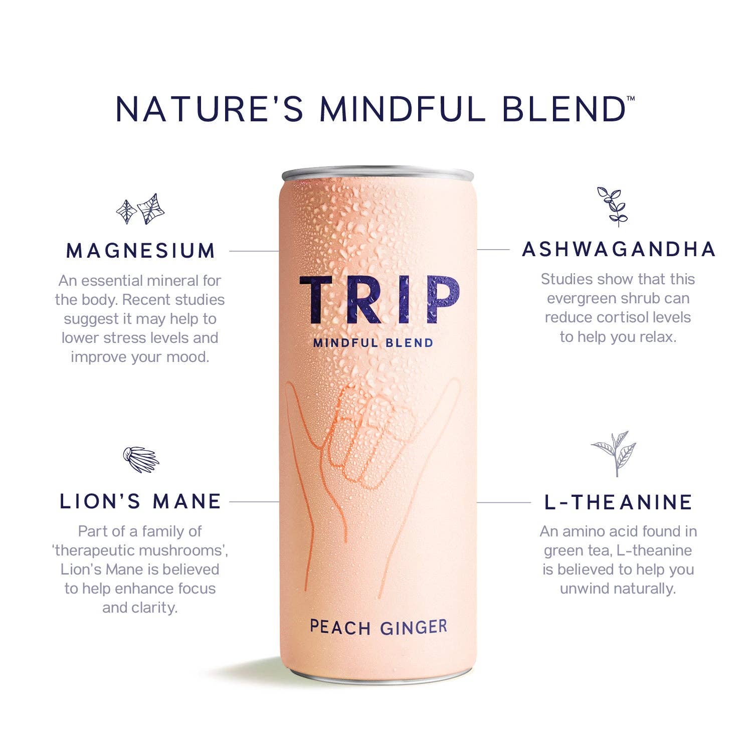 TRIP - Wholesale Non-Alcoholic Aperitif/Mocktail - TRIP Peach Ginger Mindful Blend2