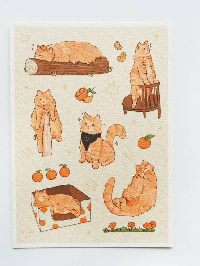 Motif de chat orange pour la vente par Shooley