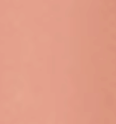 Buffalovely - Wholesale Food Storage Container - Eat Your Leftovers Silicone Bento Box- New Color Choices2