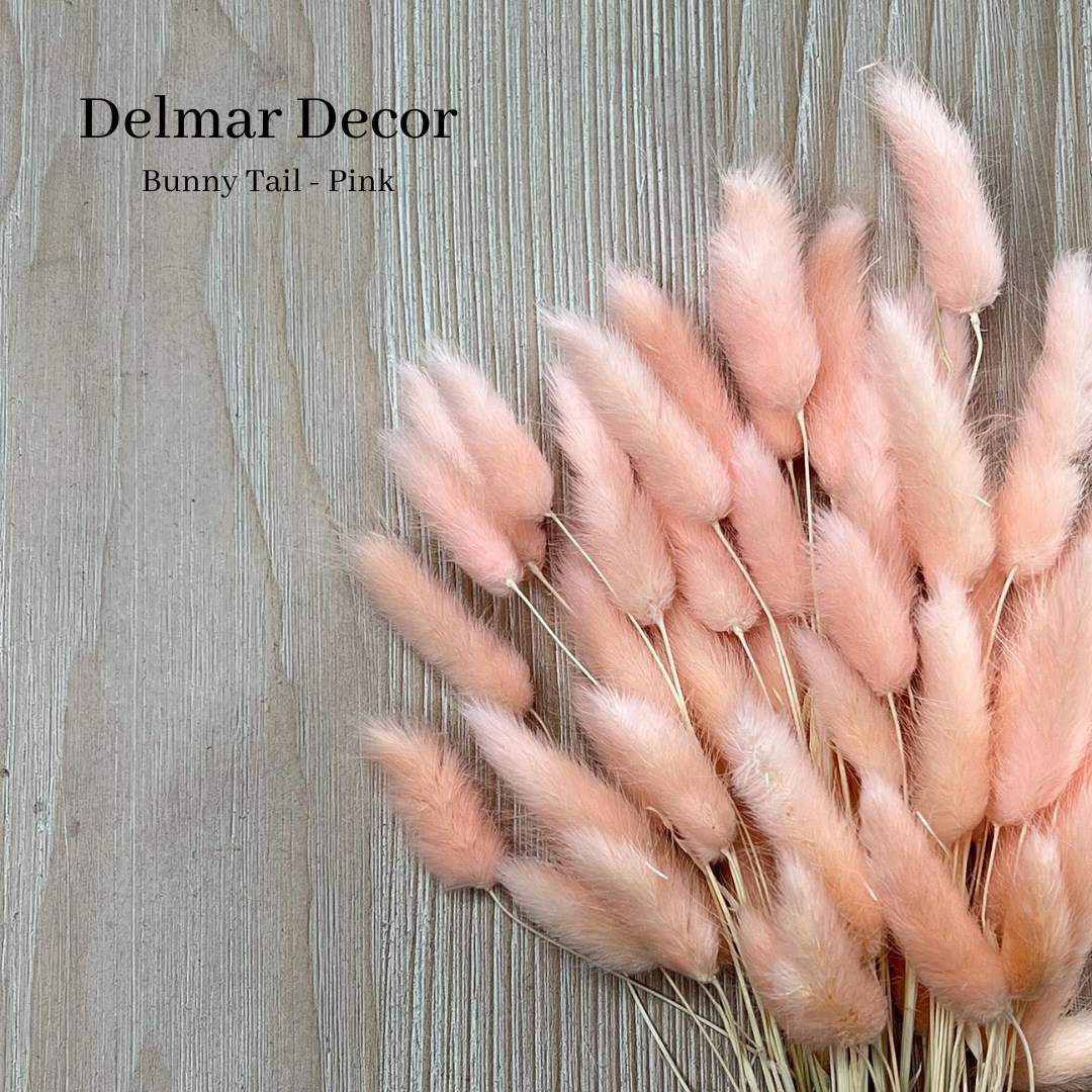Delmar Decor – wholesale Torkade/pressade blommor – Torkad kanin svans, blommig inredning2