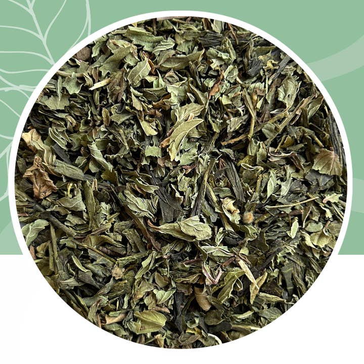 Kokoa Square - Wholesale Health/Detox Tea - Green tea - Candid freshness - Mint1