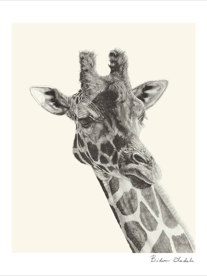 Fine Art Print - Giraffe "I'm So Pretty" for wholesale by Bidemio Studio