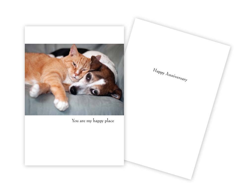 Sun Day Greetings - Wholesale Anniversary Card - Cat & Dog Anniversary Card0