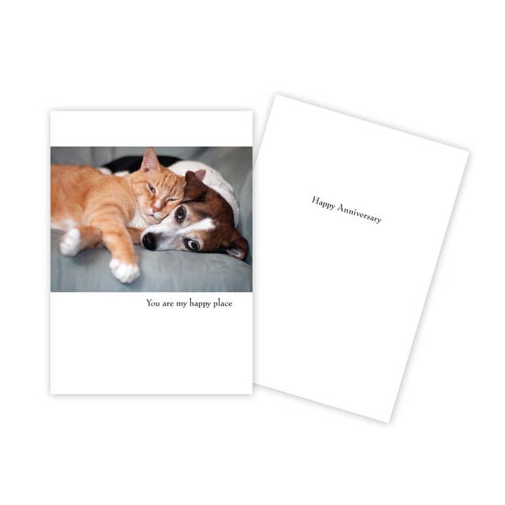 Sun Day Greetings - Wholesale Anniversary Card - Cat & Dog Anniversary Card