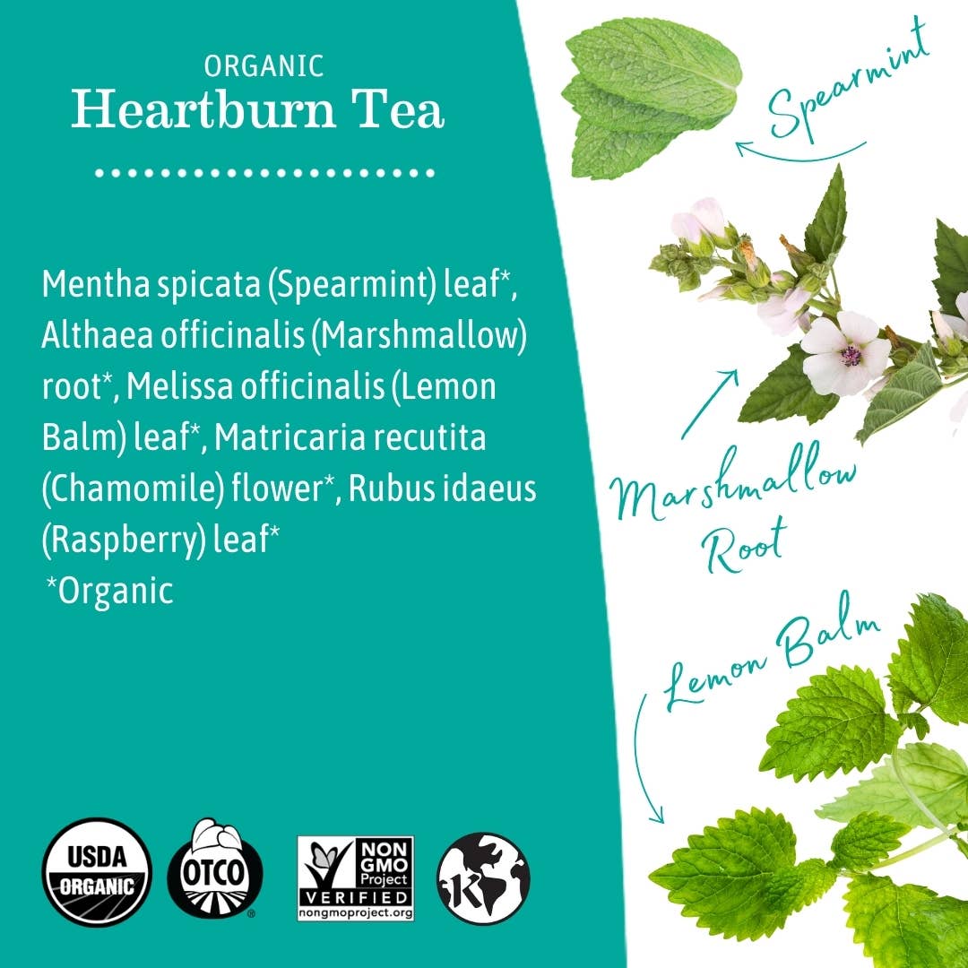Earth Mama Organics - Wholesale Nursing Tea - Maternity - Organic Heartburn Tea2