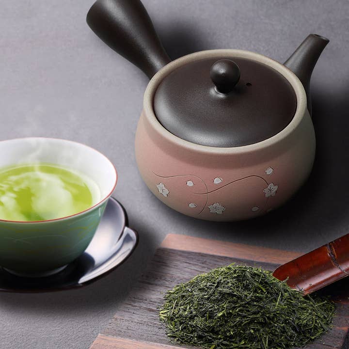 Japanese Green Tea Co. - Wholesale Tea Pot - Tokoname Yaki-Kyusu-9 fl Oz (270cc) Teapot for Fukamushi Tea