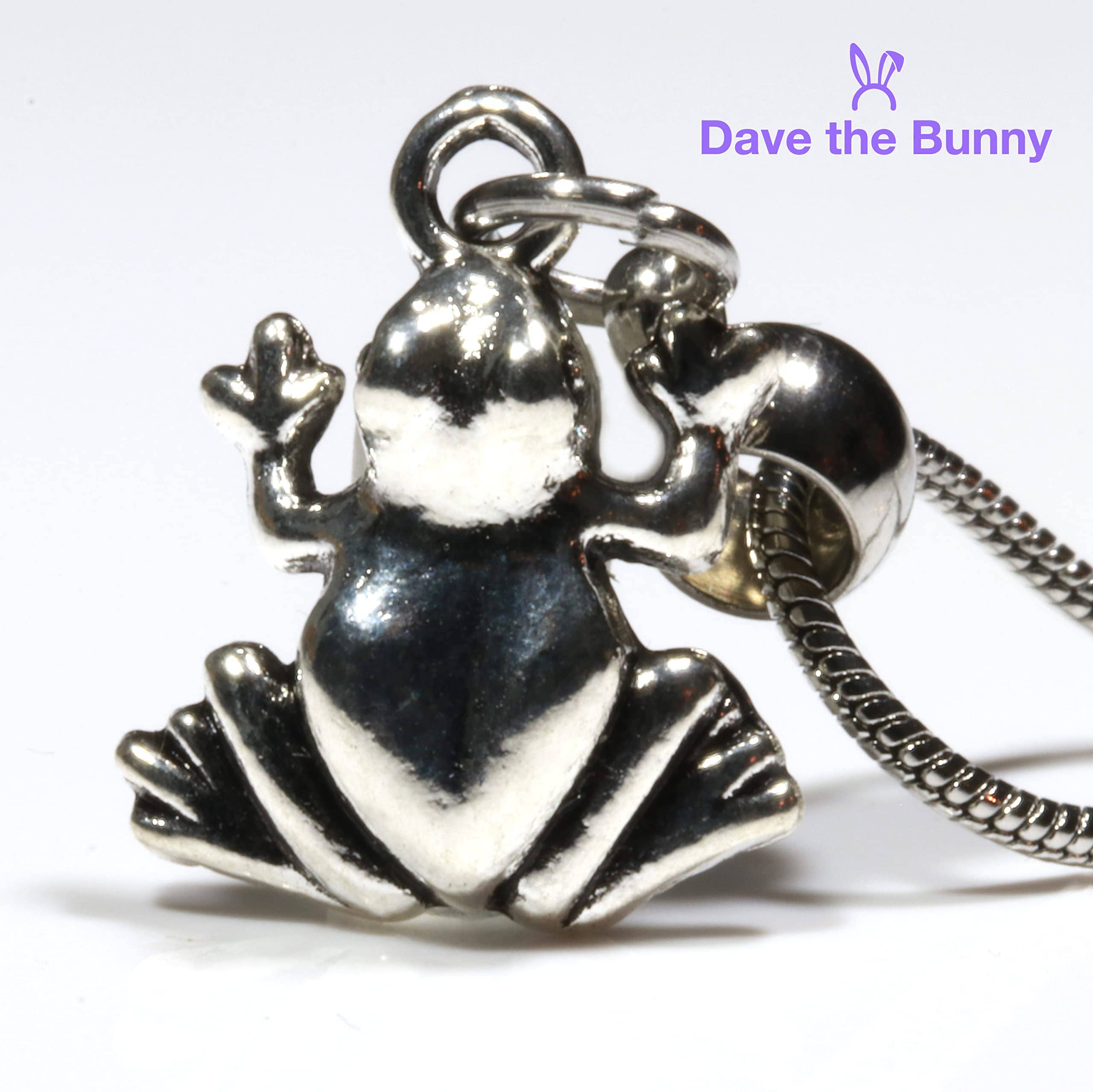 Dave The Bunny – wholesale Pendant/charm necklace – Frog Gifts for Women - 100% Stainless Steel Snake Chain with Cute Frog Stuff and Frog Necklace Cute Stuff for Teen Girls Accessories for Teen Girls and Cool Stuff for Teens nice Frog Jewelry for Women6