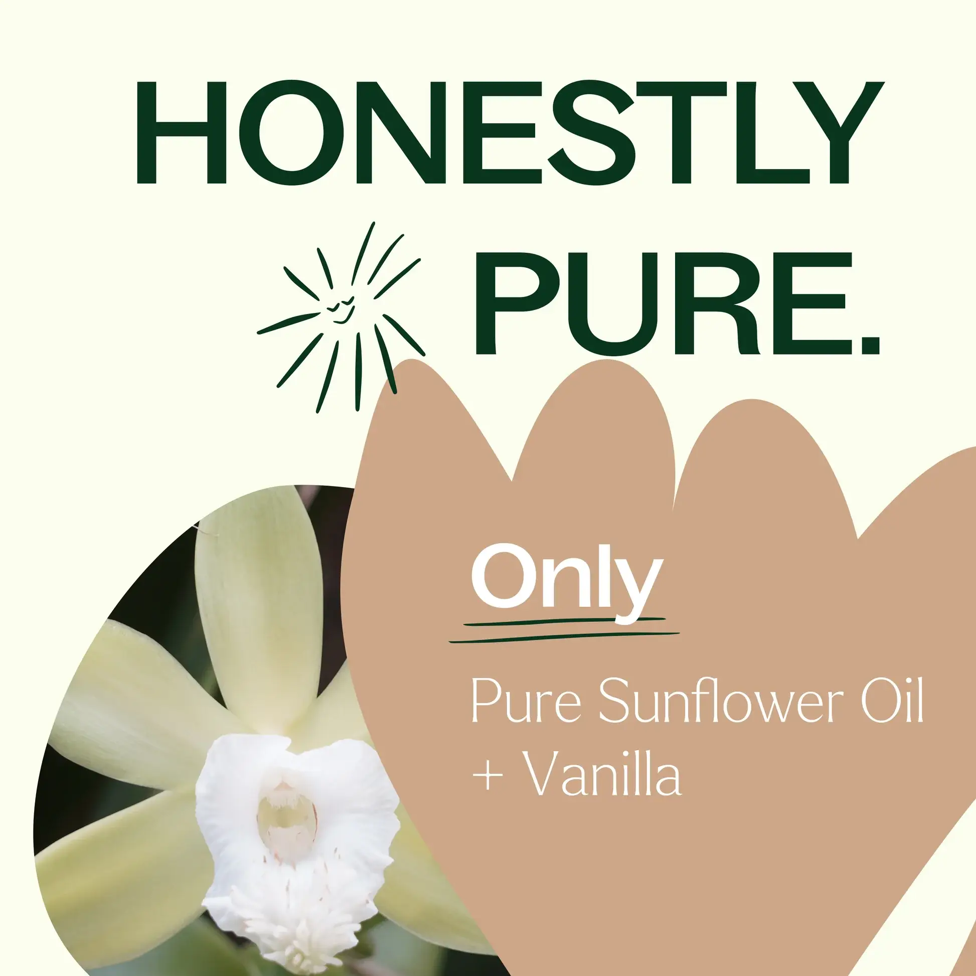 Plant Therapy - Wholesale Bath/Body Oil - Vanilla Body Oil 4 oz4