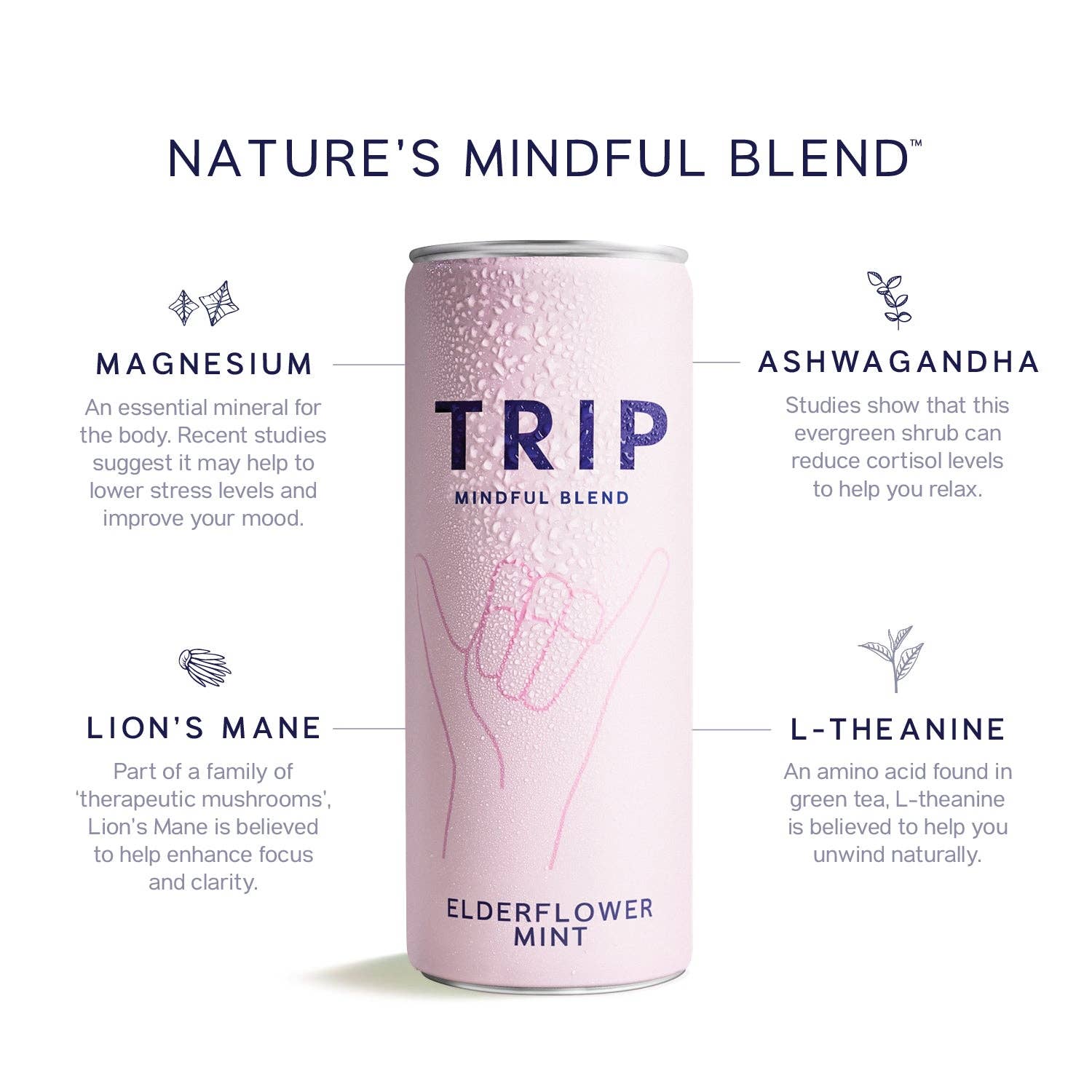 TRIP - Wholesale Non-Alcoholic Aperitif/Mocktail - Elderflower Mint Mindful Blend2