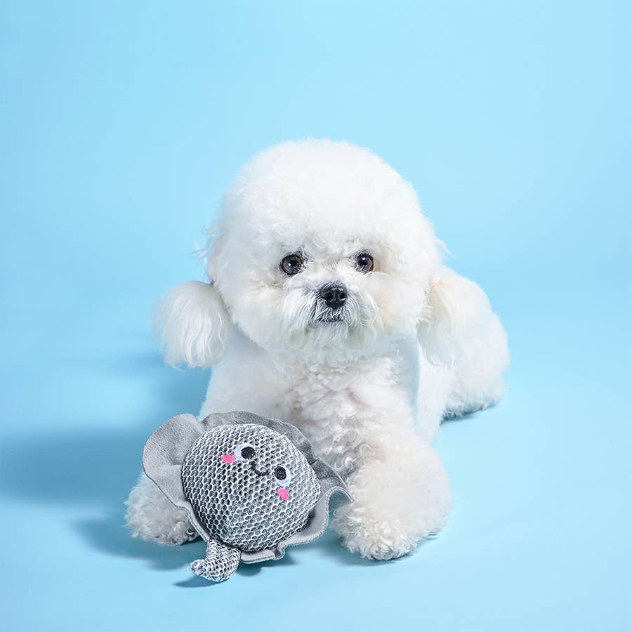 Hugsmart Products Inc - Wholesale Pet Fetch Ball - Dog - HugSmart Pet - Ocean Pals | Stingray - Dog Ball Toy3