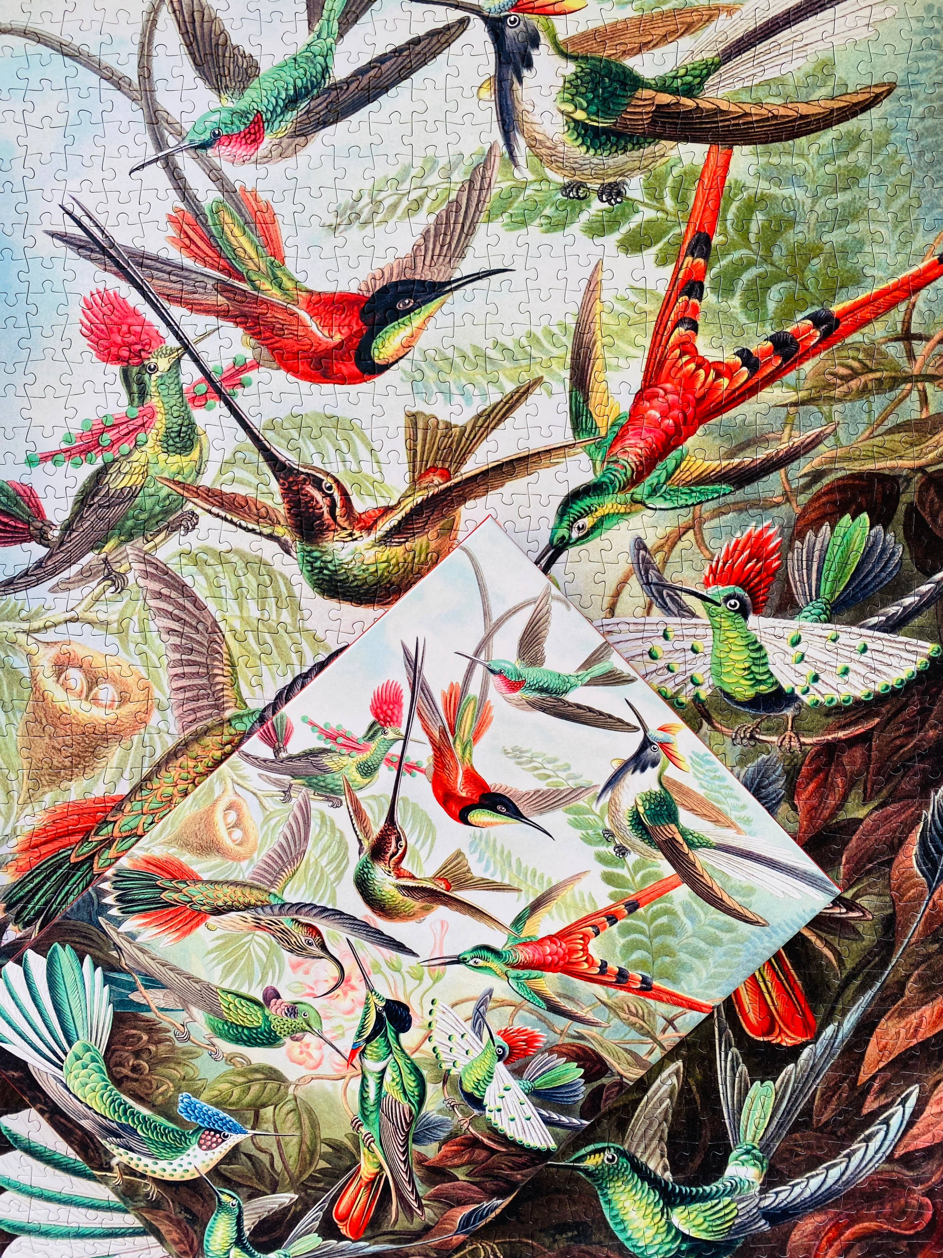 Penny Puzzle - Wholesale Puzzle - Adult - Hummingbirds 1000 piece Vintage jigsaw puzzle6