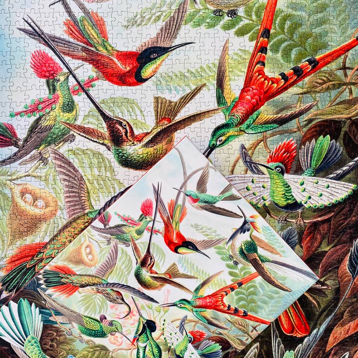 Penny Puzzle - Wholesale Puzzle - Adult - Hummingbirds 1000 piece Vintage jigsaw puzzle6