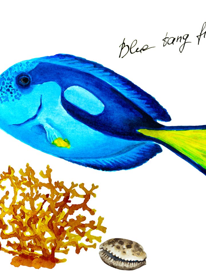 Blue Tang Fish Swedish Dishcloth for wholesale by Kit Carson Accessories