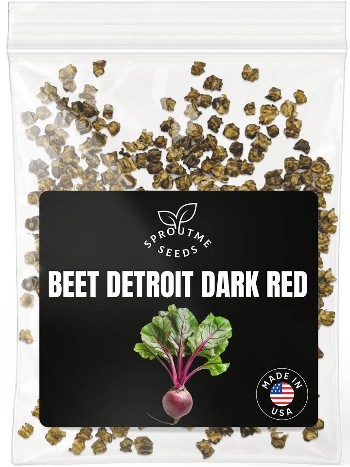 Beet Detroit Dark Red Seeds 300+ Seeds – Non-GMO, Heirloom Garden Beet for wholesale by SproutMe Seeds