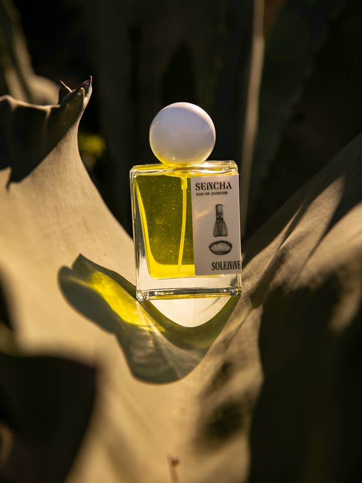 SENCHA - Eau De Parfum - Nontoxic Fragrance for wholesale by Solenne Fragrance