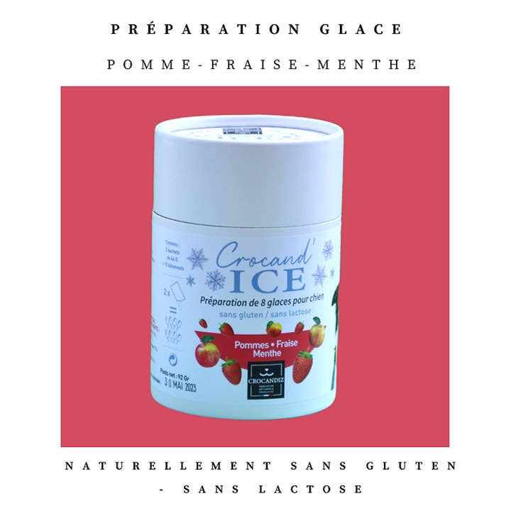 Crocandiz - Wholesale Pet Treats - Dog - Dog Treat, Apple and Strawberry Ice Cream for Dogs1