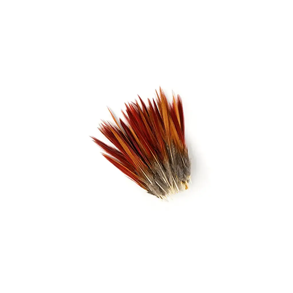Zucker Feather Products – wholesale Feathers – 10 PC/PKG Golden Pheasant Red Top Tails 4-6" - Natural1