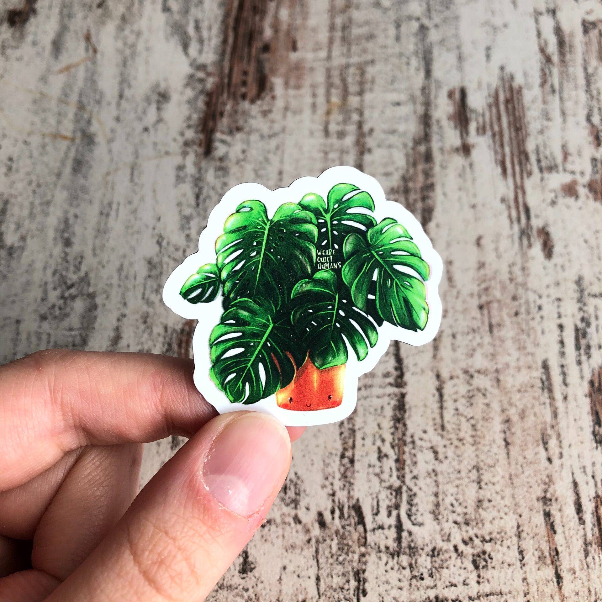 plantyintroverts - Wholesale Magnet - Magnet - Monstera Deliciosa, Plantlover, Plants, Plantlady4