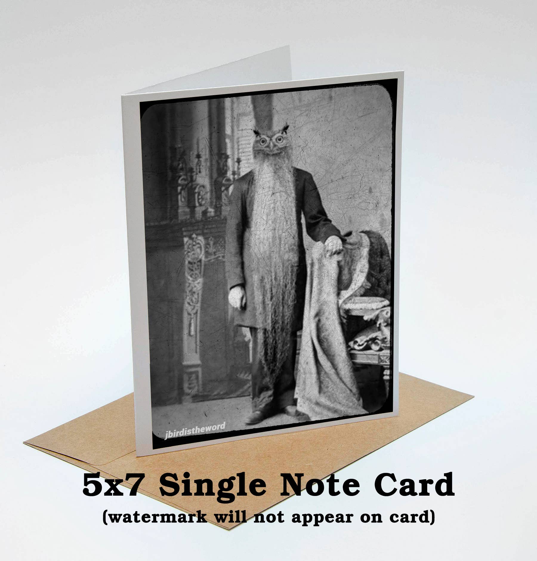 The Wild Oddisorium - Wholesale Everyday Greeting Card - Owl Note Card Grandfather Papa Bird Lover Nature Animals0