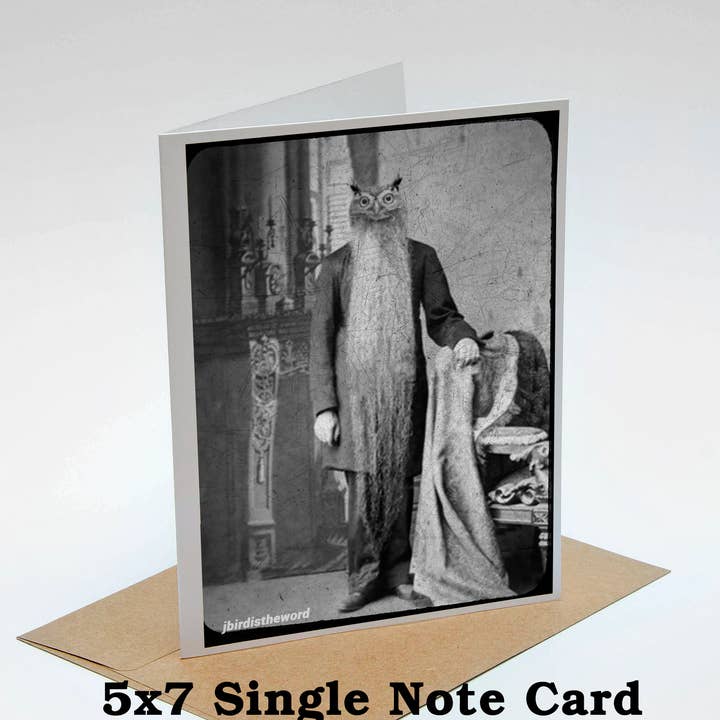 The Wild Oddisorium - Wholesale Everyday Greeting Card - Owl Note Card Grandfather Papa Bird Lover Nature Animals0