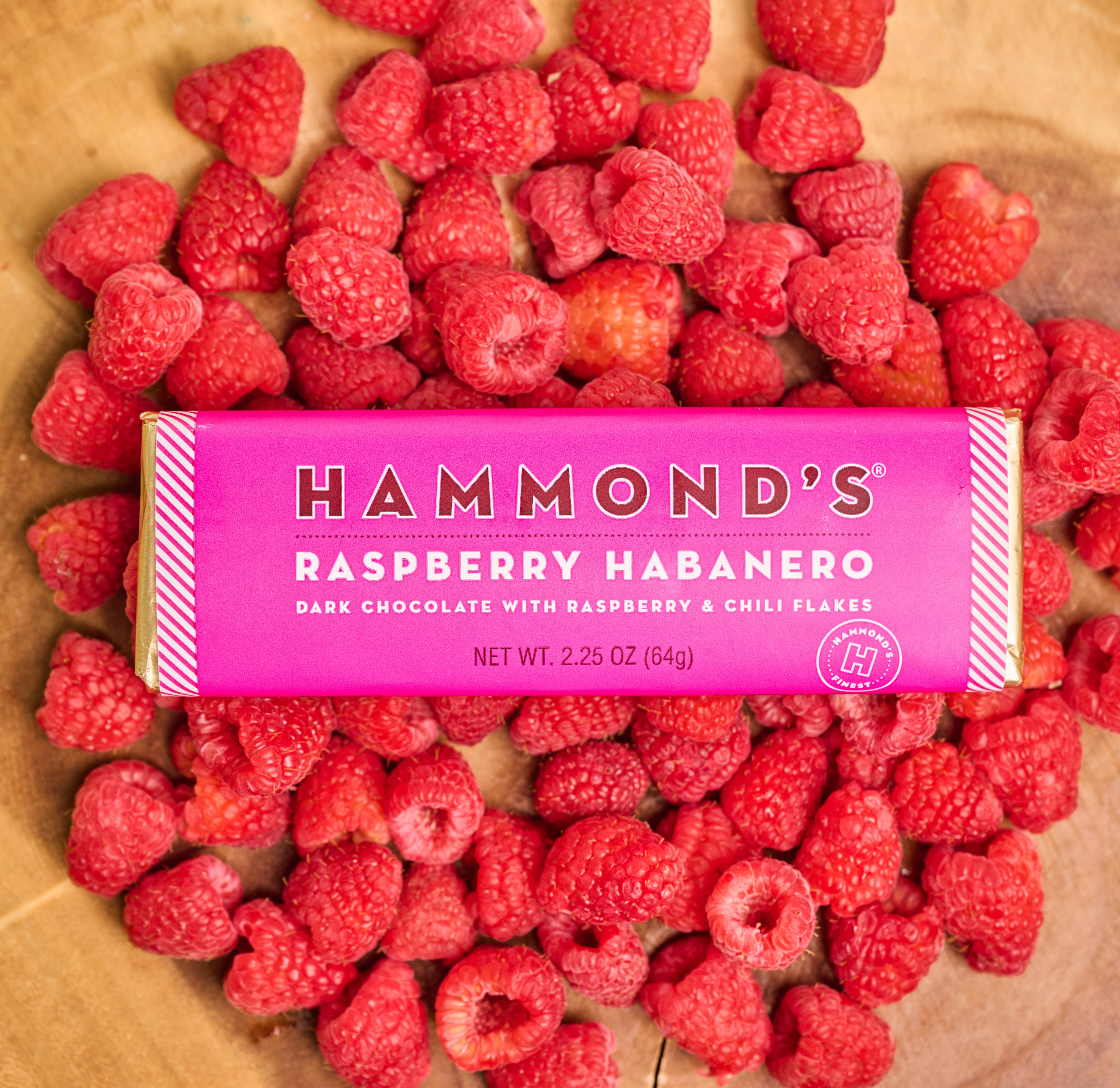 Hammond's Candies - Wholesale Chocolate Bar - Candy Bar - Dark Chocolate - Raspberry Habanero - 2.25 oz2