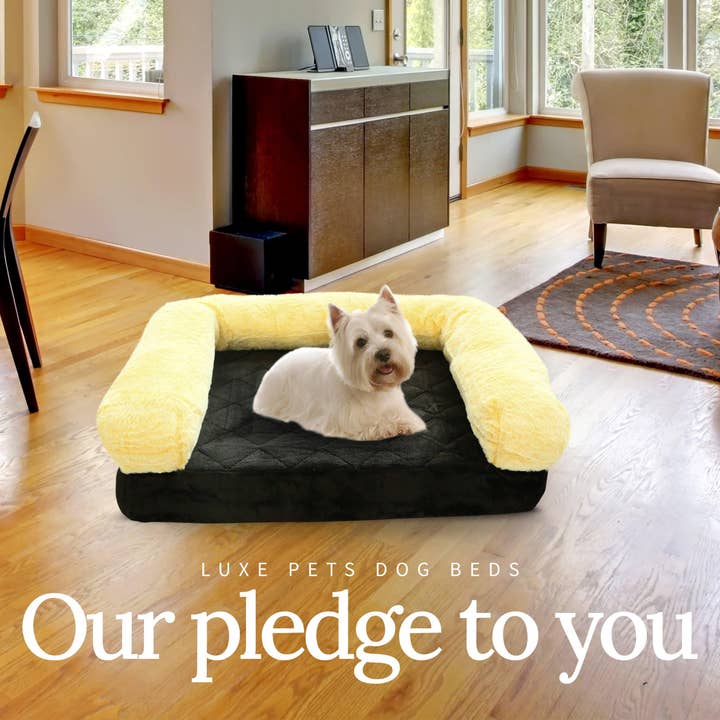 Luxe Pets Products - Wholesale Pet Bed - Dog - Pet Bed Memory Foam Luxurious Velvet, Faux Fur - Medium, Black Gold