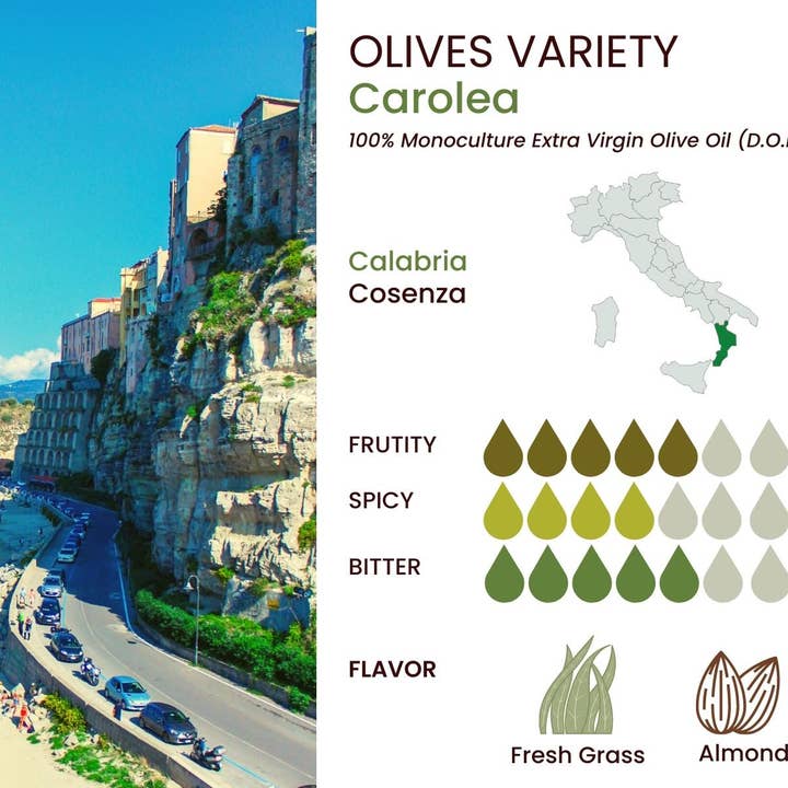 Wholesale Italian Food - Wholesale Olive Oil - Basso 1904 Extra Virgin Olive Oil Limited Edition Gift Set (5 x 100 ml)5