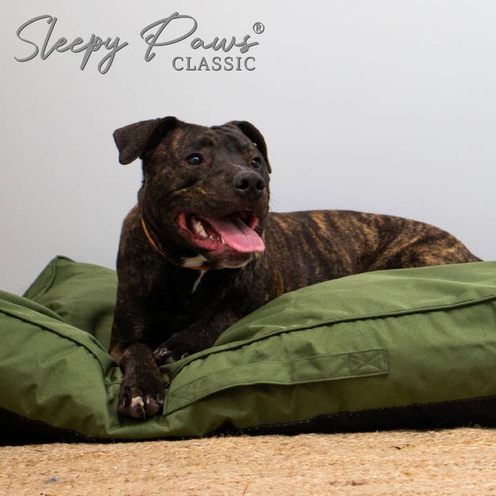 Ancol Pet Products Ltd - Wholesale Pet Bed - Dog - Oxford Green Dog Mattress