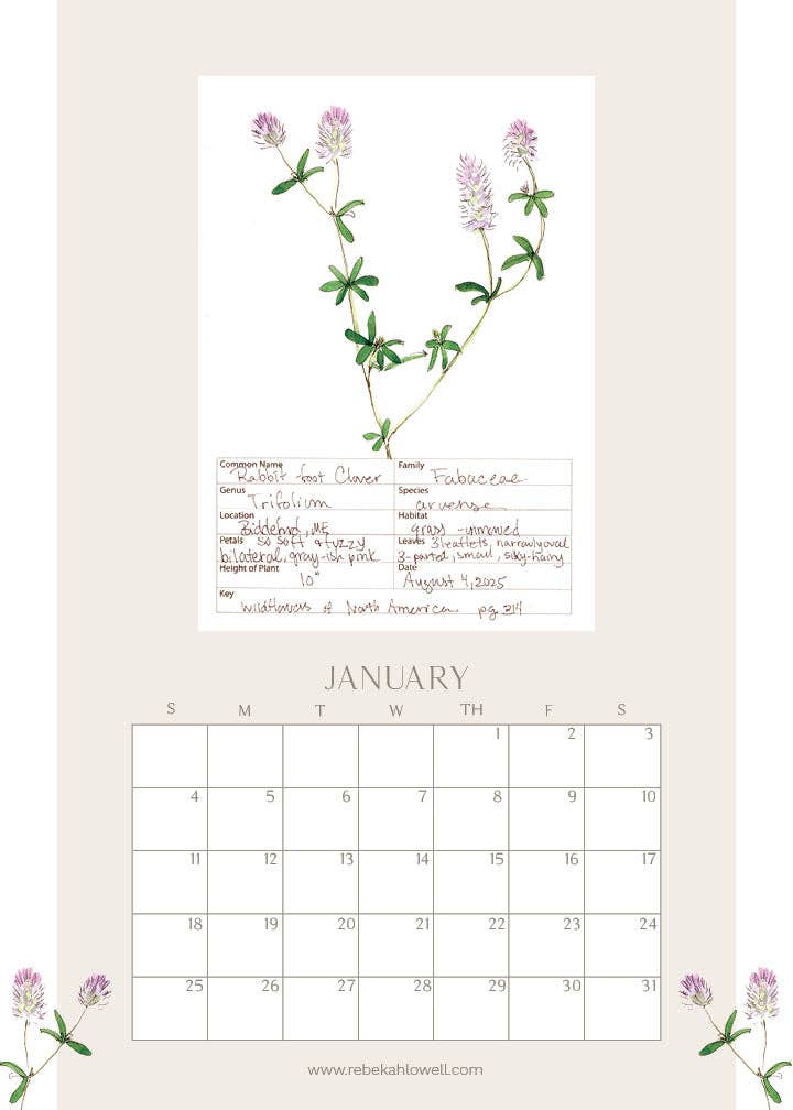 Rebekah Lowell Creative Studio - Wholesale Calendar - 2026 Wildflower Wall Calendar1