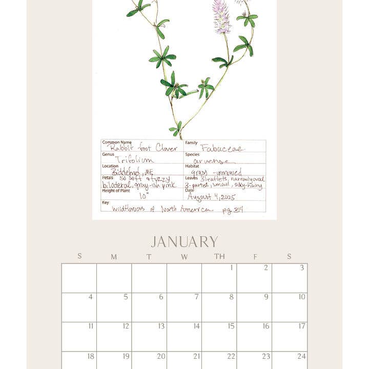 Rebekah Lowell Creative Studio - Wholesale Calendar - 2026 Wildflower Wall Calendar1
