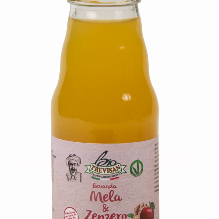Trevisan - Wholesale Fruit Juice - Organic Apple Ginger Drink
