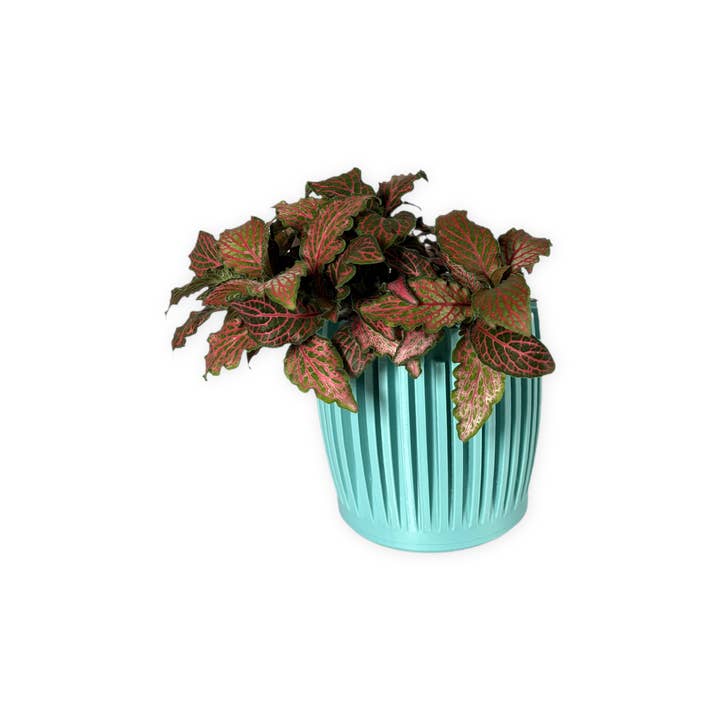 Leafprints.3d - Wholesale Plant Pot - The Leaf – 3 Inch Cover Pot (No Drainage)21