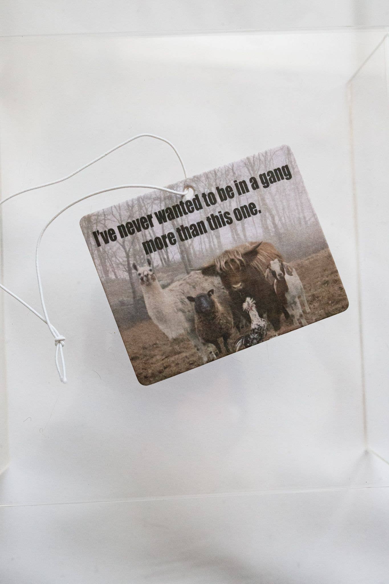 The Front Porch Label - Wholesale Car Freshener - Women's - Gang Air Freshener2