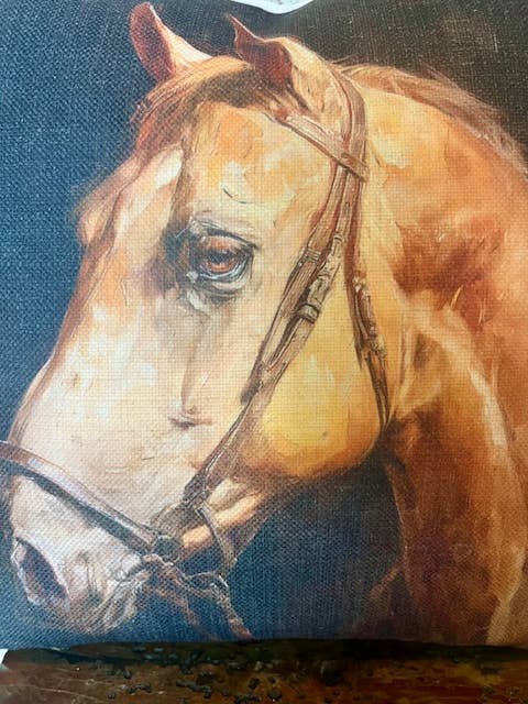 Rustic Nester - Wholesale Throw/Decorative Pillow - Equestrian  horse home decor throw pillow, Western home 4