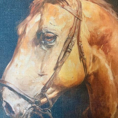 Rustic Nester - Wholesale Throw/Decorative Pillow - Equestrian horse home decor throw pillow, Western home 4