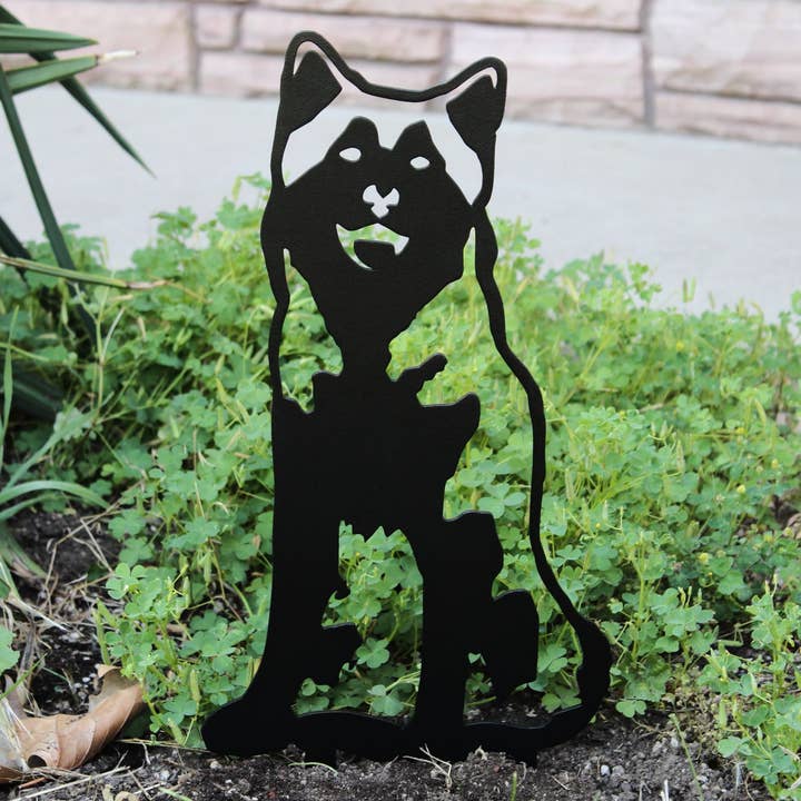 Husky de Sibérie pour la vente par My Metal Rescue