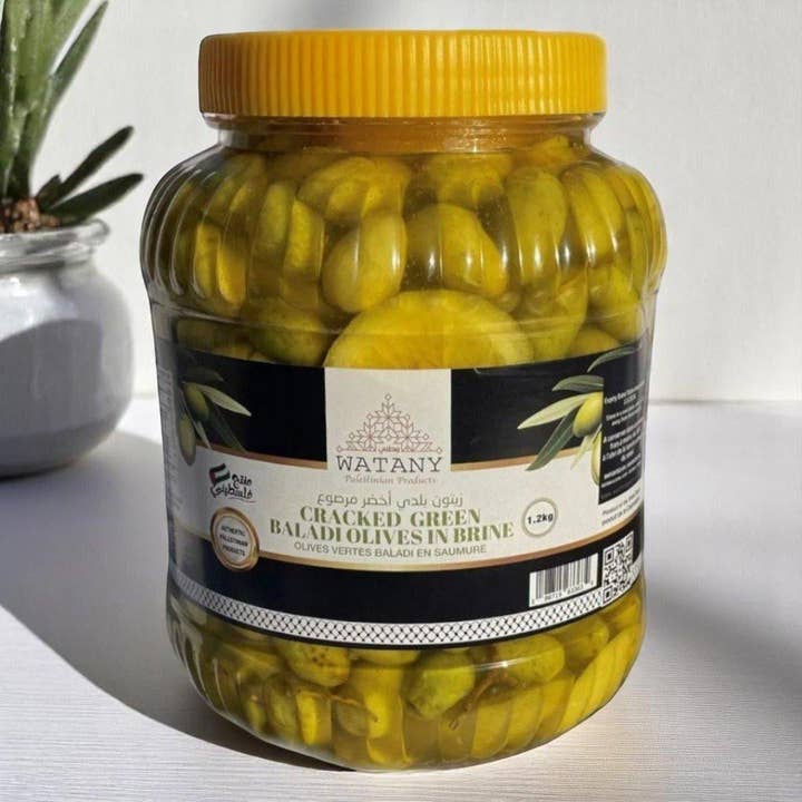 Tulkarm Palestinian Pickled Green Olives for wholesale by Watany palestinian products