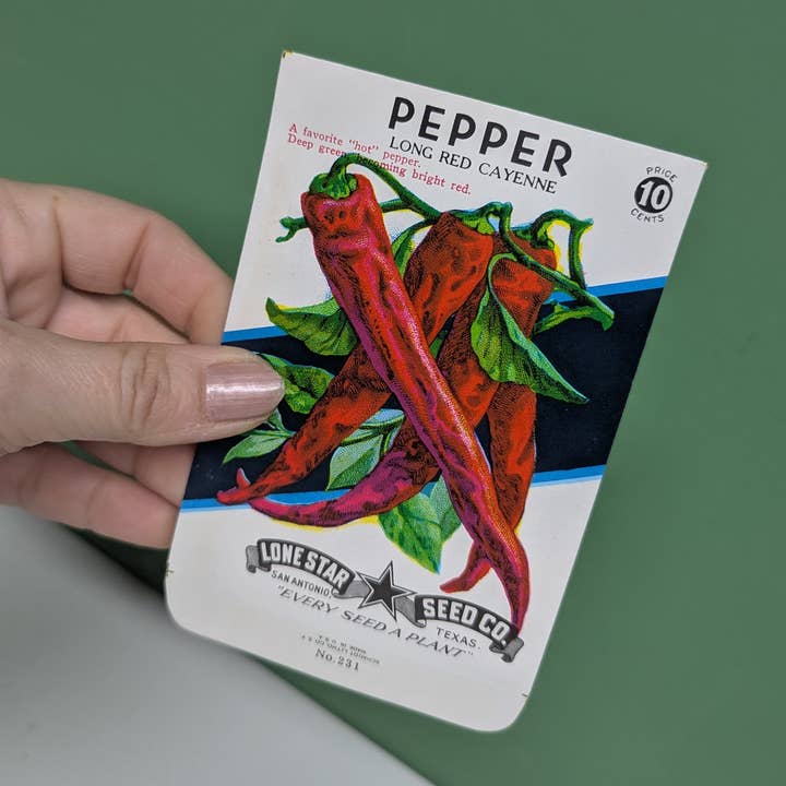 vintagegoodies – Engroshandel Plantefrø – Cayenne stærk peber tom frøpakke1