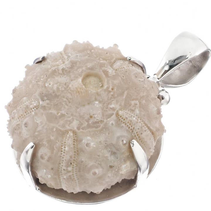 Colgante de erizo de mar fósil marroquí de plata de ley 925, 3,5 cm. para venta al por mayor de FifiRose