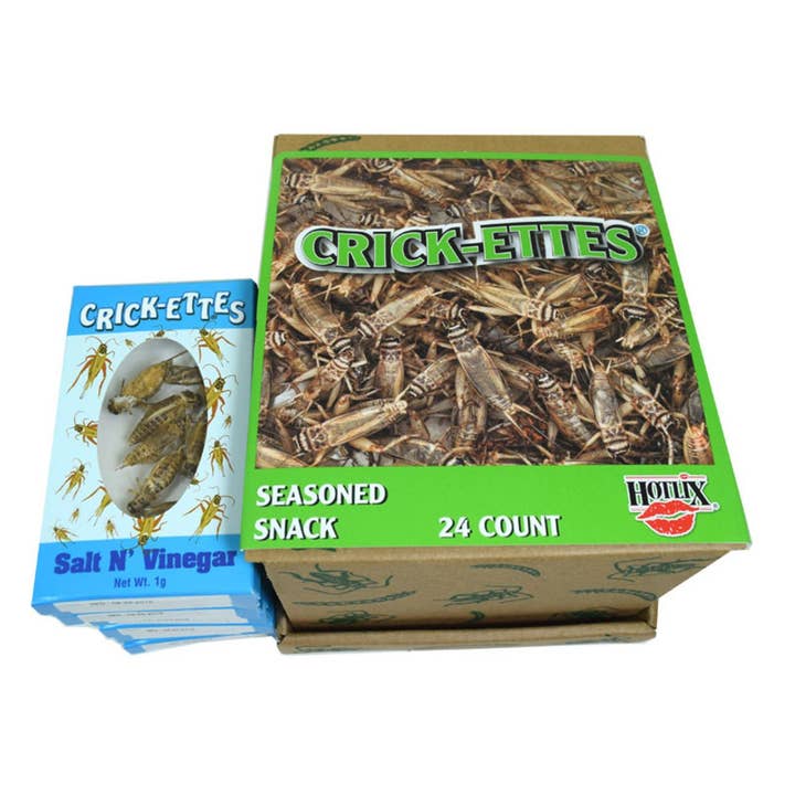 I Got Your Candy - Wholesale Puffed Snack - Hotlix Real Crickets Snacks Salt & Vinegar 1g - 24ct