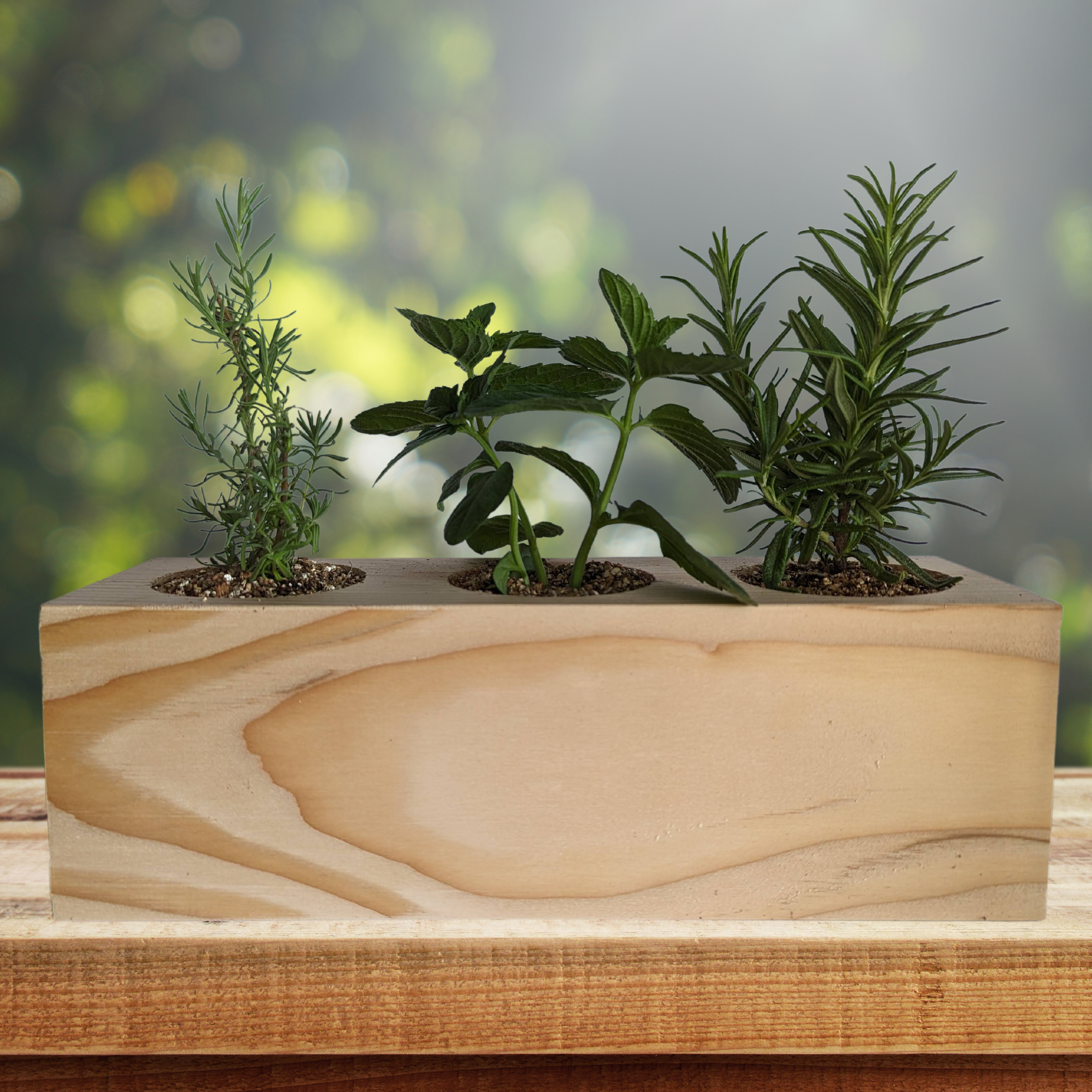 Sprigbox - Wholesale DIY Craft Kit - Cocktail Mixers Starter Kit | Grow Lavender, Mint, Rosemary4