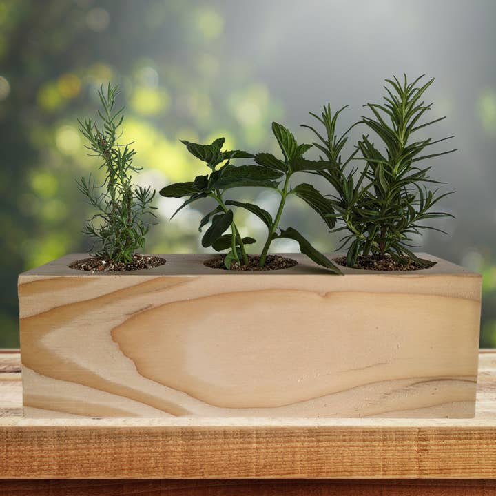 Sprigbox - Wholesale DIY Craft Kit - Cocktail Mixers Starter Kit | Grow Lavender, Mint, Rosemary4