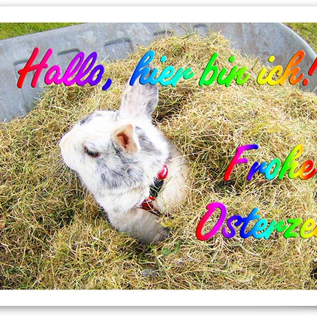 Pasqua/Biglietto d'auguri/249006 per la vendita all'ingrosso da parte di Yabué