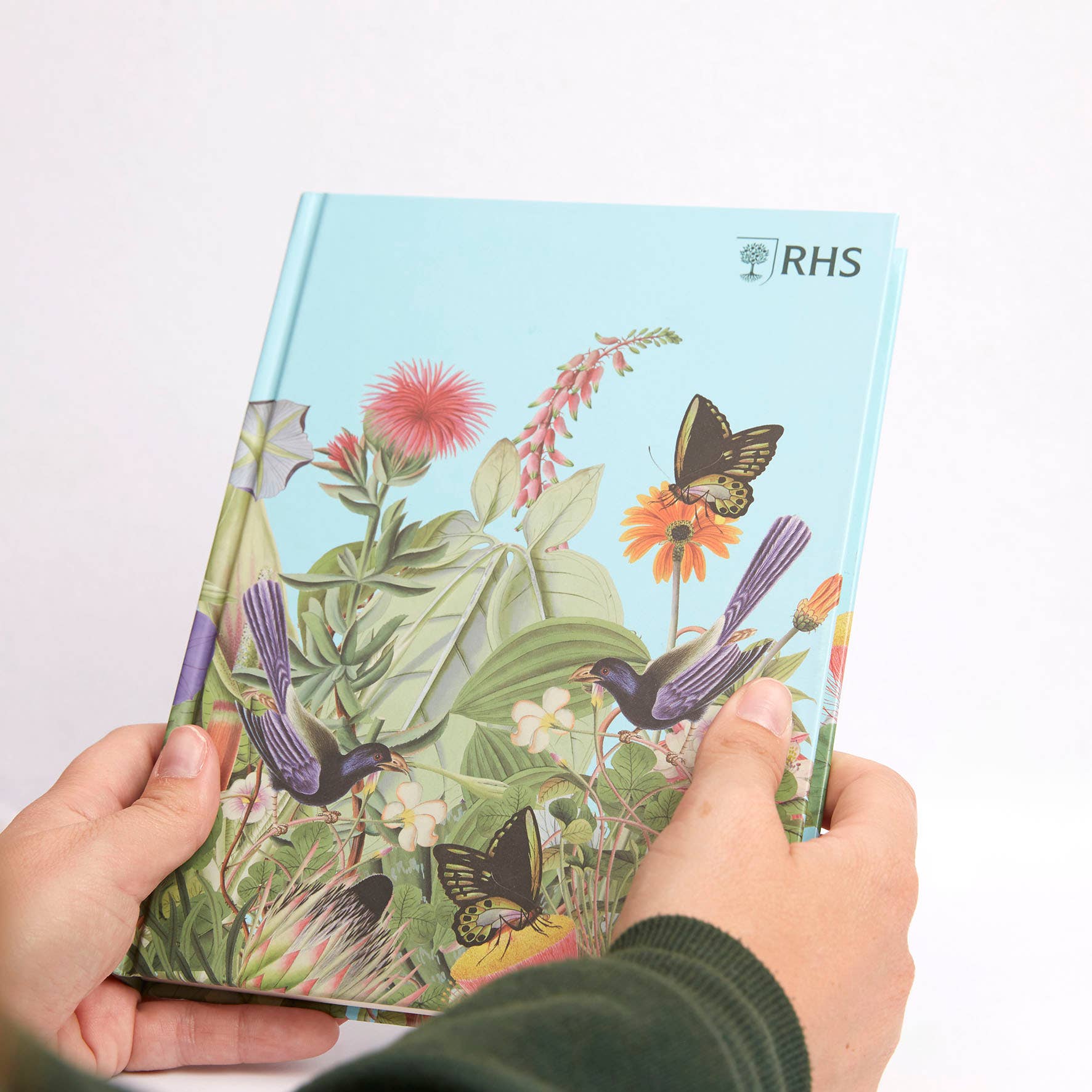 West Design Products UK – wholesale Sketchbook/sketchpad – RHS 160 Page Hardbound Sketchbook (110gsm), A5, Bird Scene11