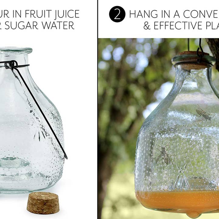 Kurated Korner - Wholesale Outdoor Ornament/Decor - Darware Glass Wasp Traps 2pk