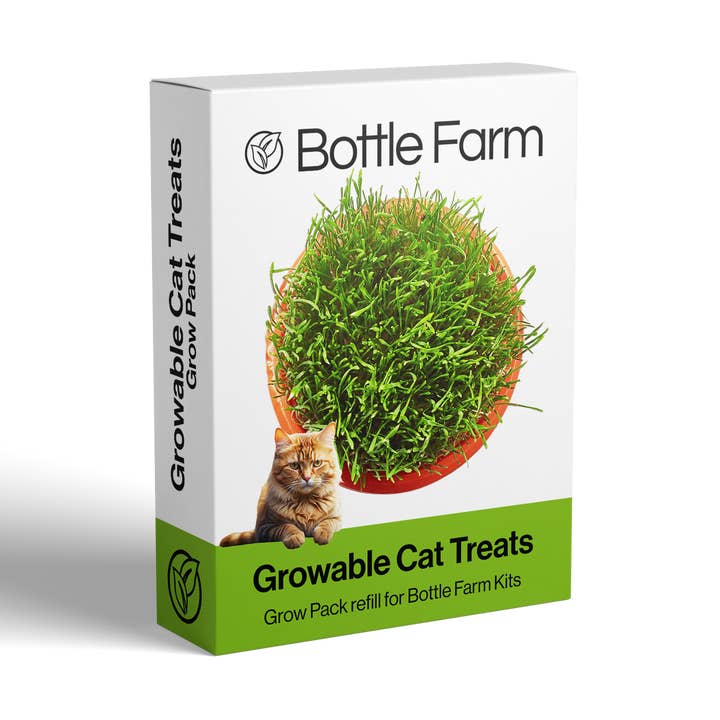 Cat Treat Grow Pack Cat Grass Catnip Indoor Growers Kit Gift for wholesale by Shroot: Kabloom Seedboms