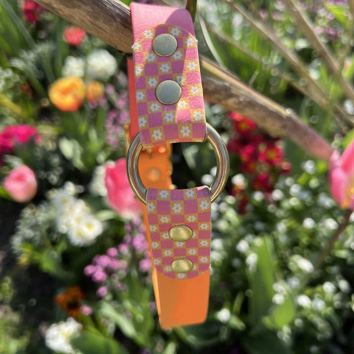 Splash By Happy - Wholesale Pet Collar - Dog - 🌼 Happy Flower 🌼22